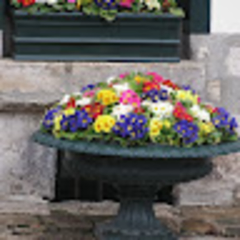 Meet your Posher, Pat